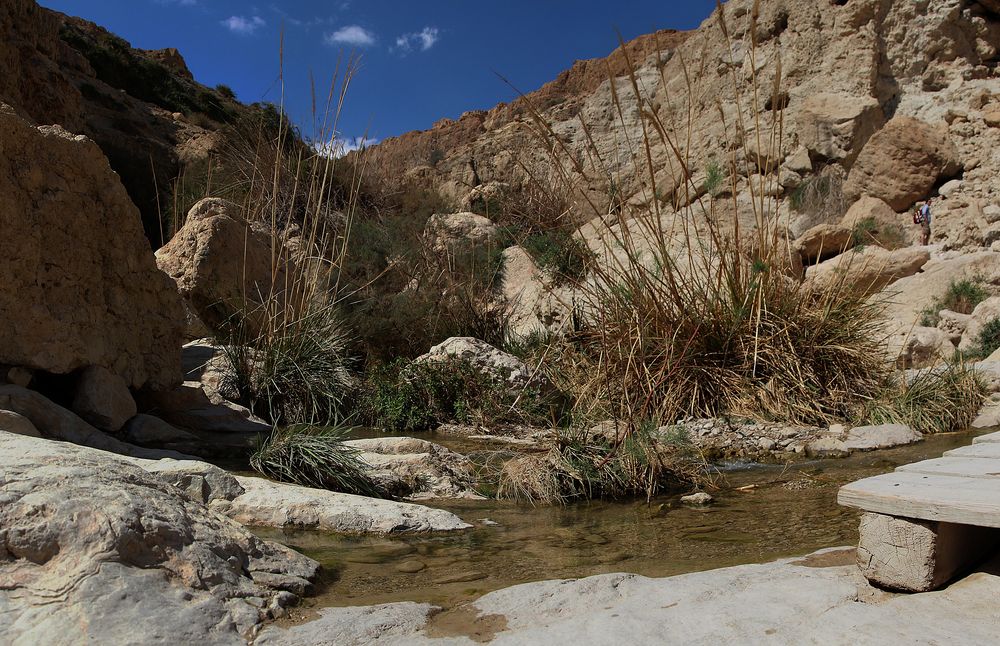 Naturschutzpark Ein Gedi