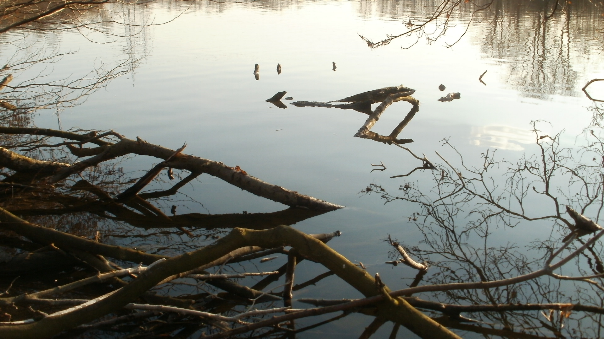 Natursee - Ewald/Herten