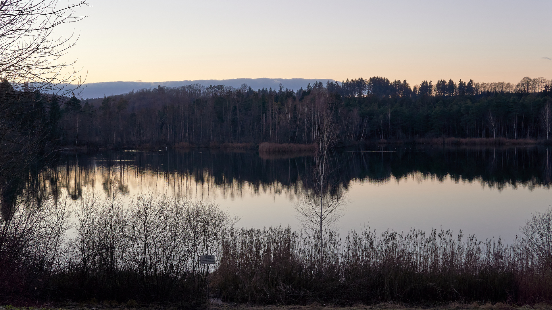 Natursee Ummendorf zwischen den Jahren