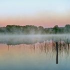 Natursinfonie zum Spiegeltag