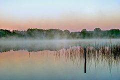 Natursinfonie zum Spiegeltag