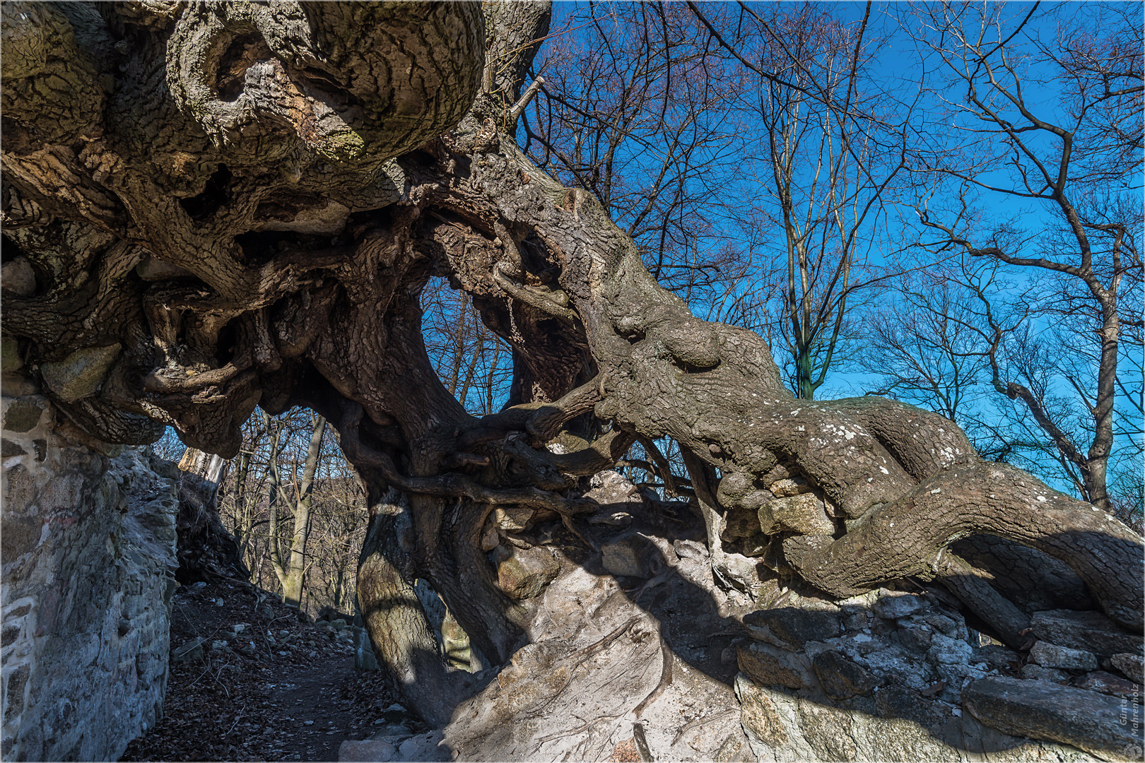 Naturskulptur