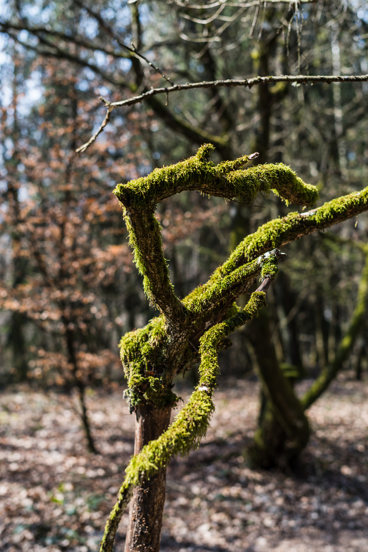 Naturskulptur