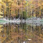 Naturskulptur im Teich