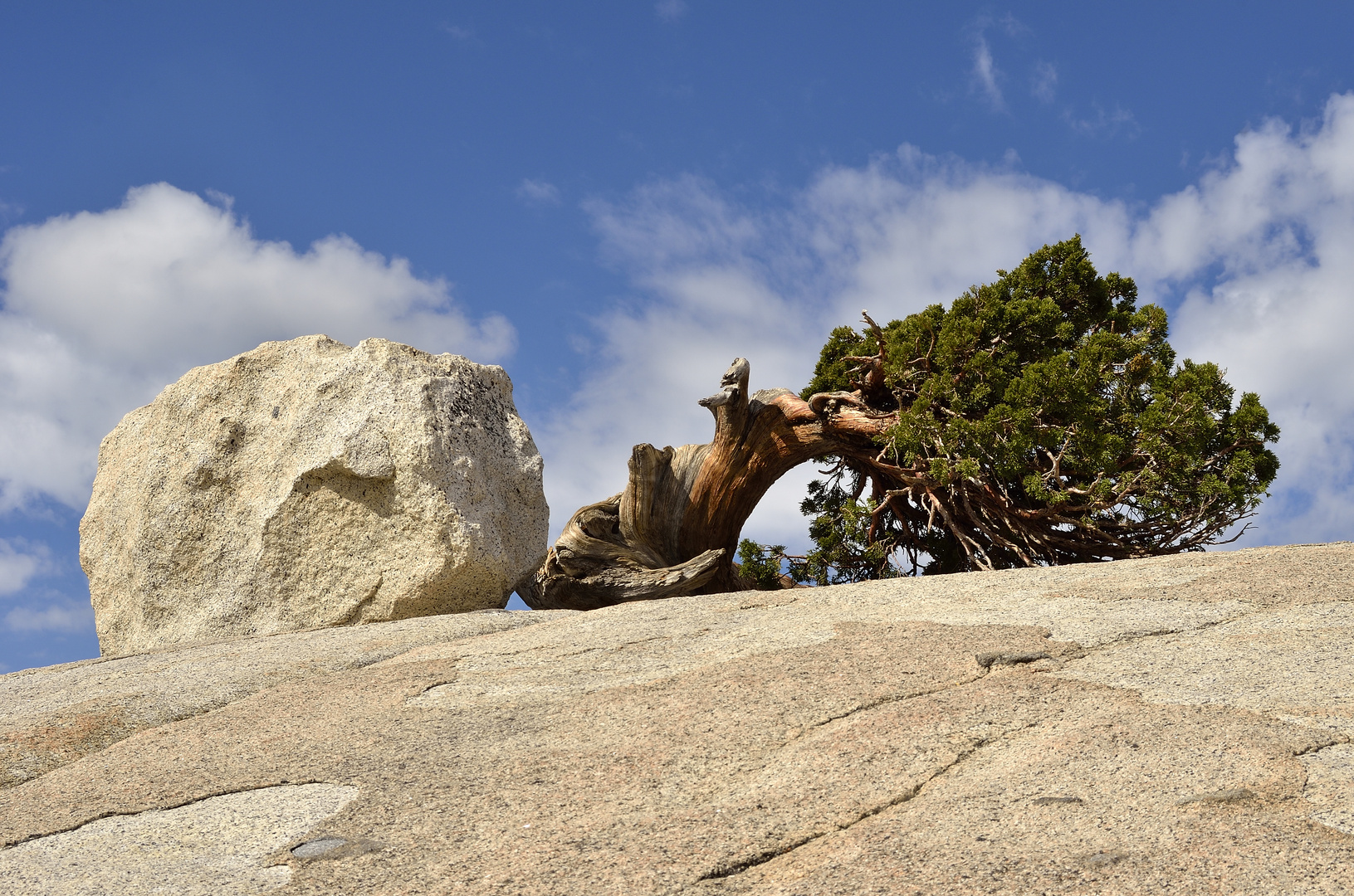 Naturskulptur im Yosemite NP