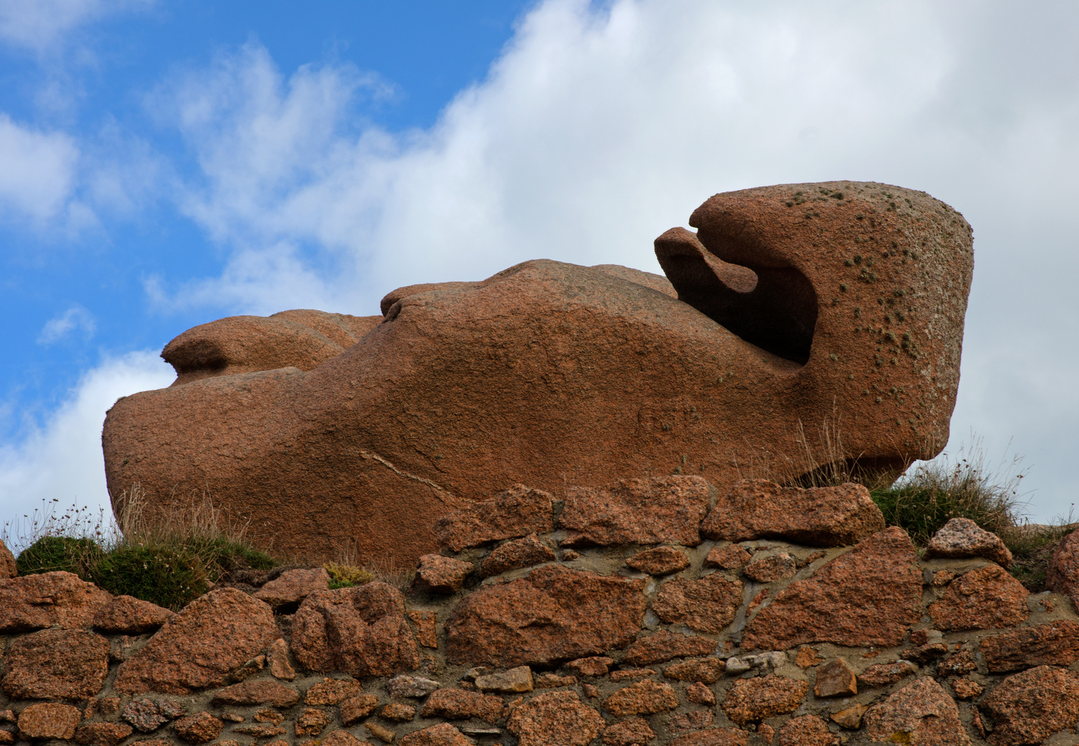 Naturskulptur in der Bretagne