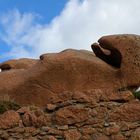 Naturskulptur in der Bretagne