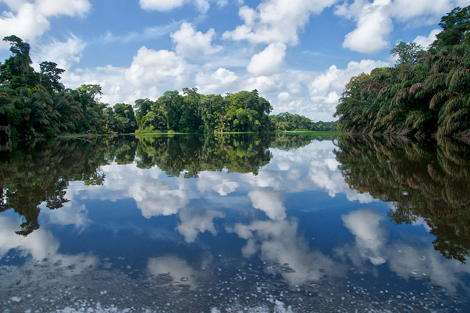 Naturspiegel (Tortuguero / Costa Rica) von Hans-Heiner Luker 