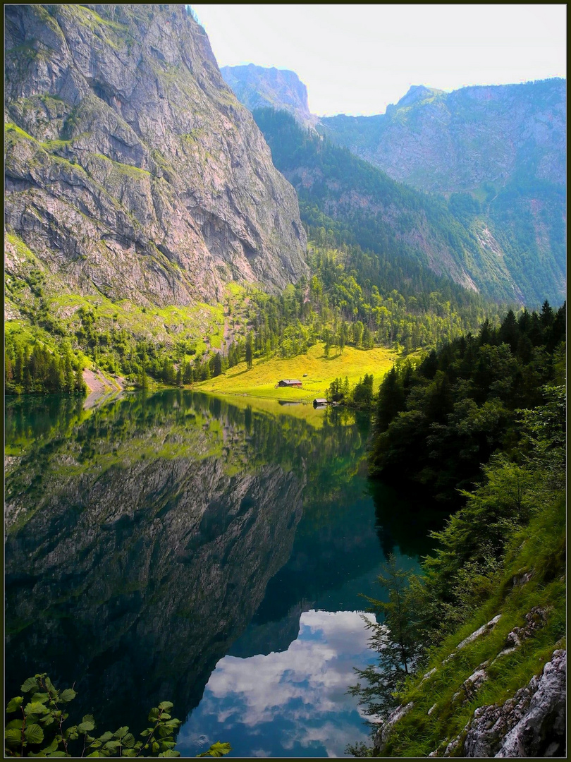 Naturspiegel Obersee