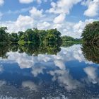 Naturspiegel (Tortuguero / Costa Rica)