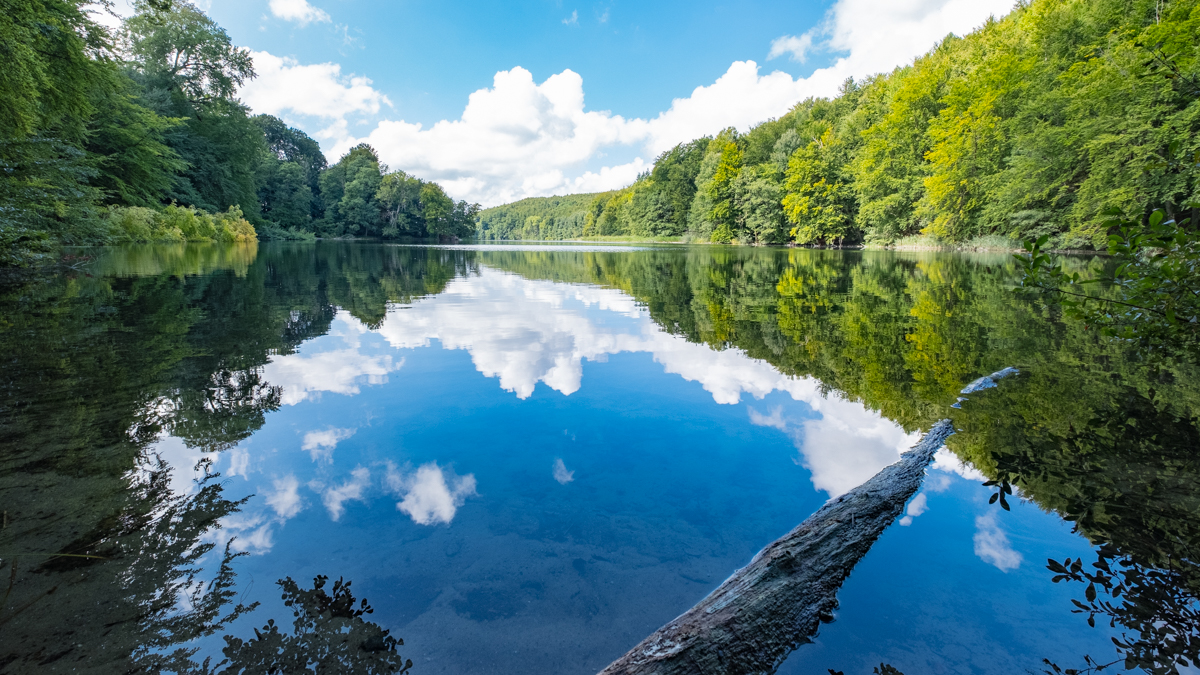 Naturspiegel Ukleisee