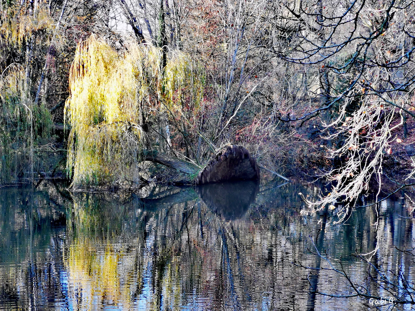 " Naturspiegelung "