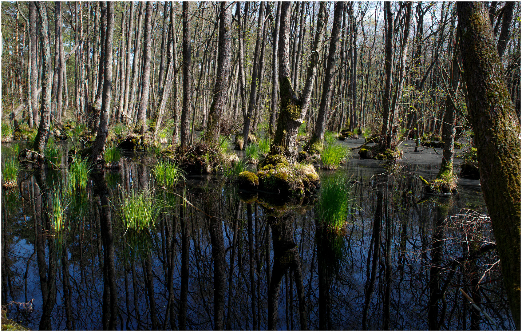 Naturspiegelung