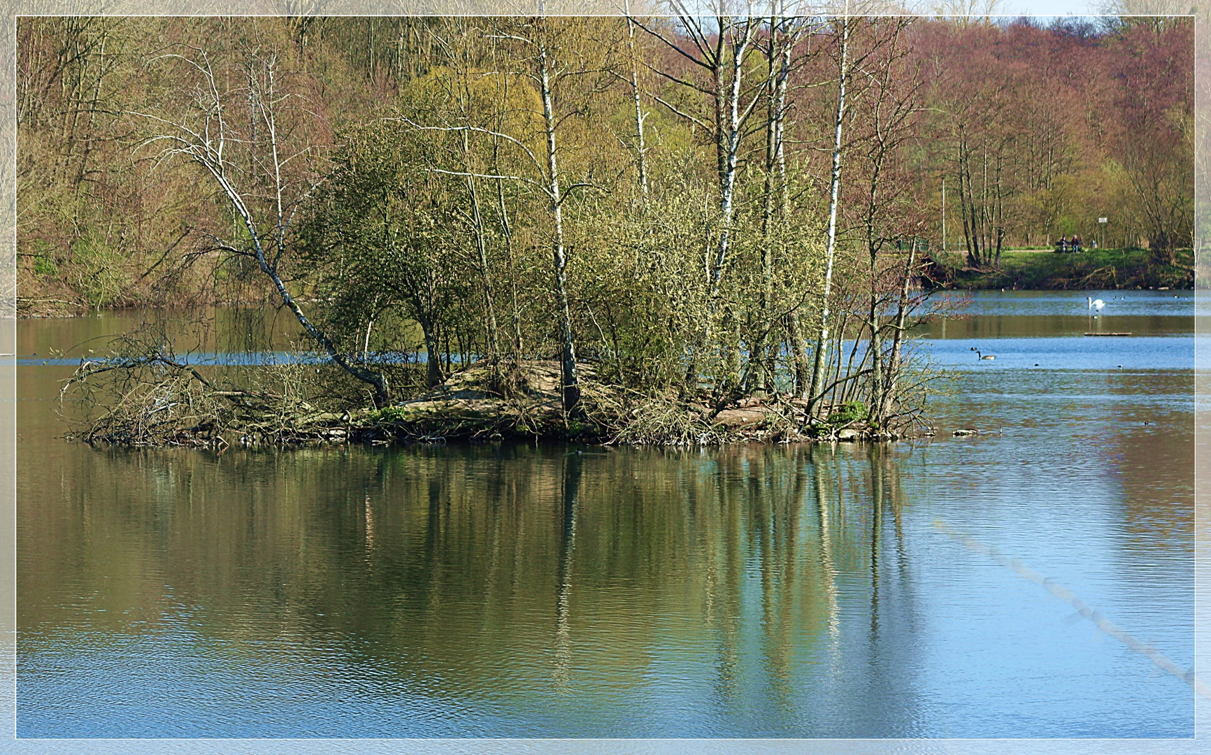 Naturspiegelung im Weiher