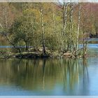 Naturspiegelung im Weiher