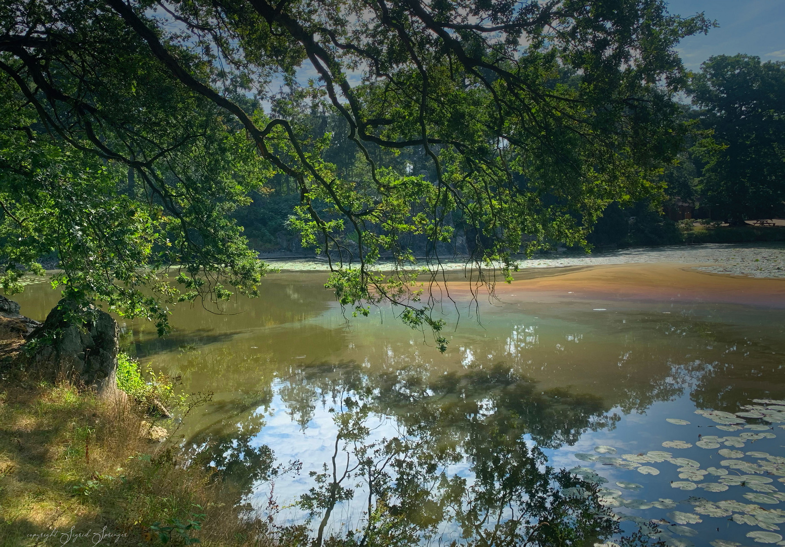 Naturspiegelung im Wildpark Isselburg 