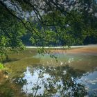 Naturspiegelung im Wildpark Isselburg 