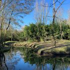 Naturspiegelungen Overloon