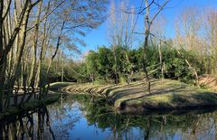 Naturspiegelungen Overloon