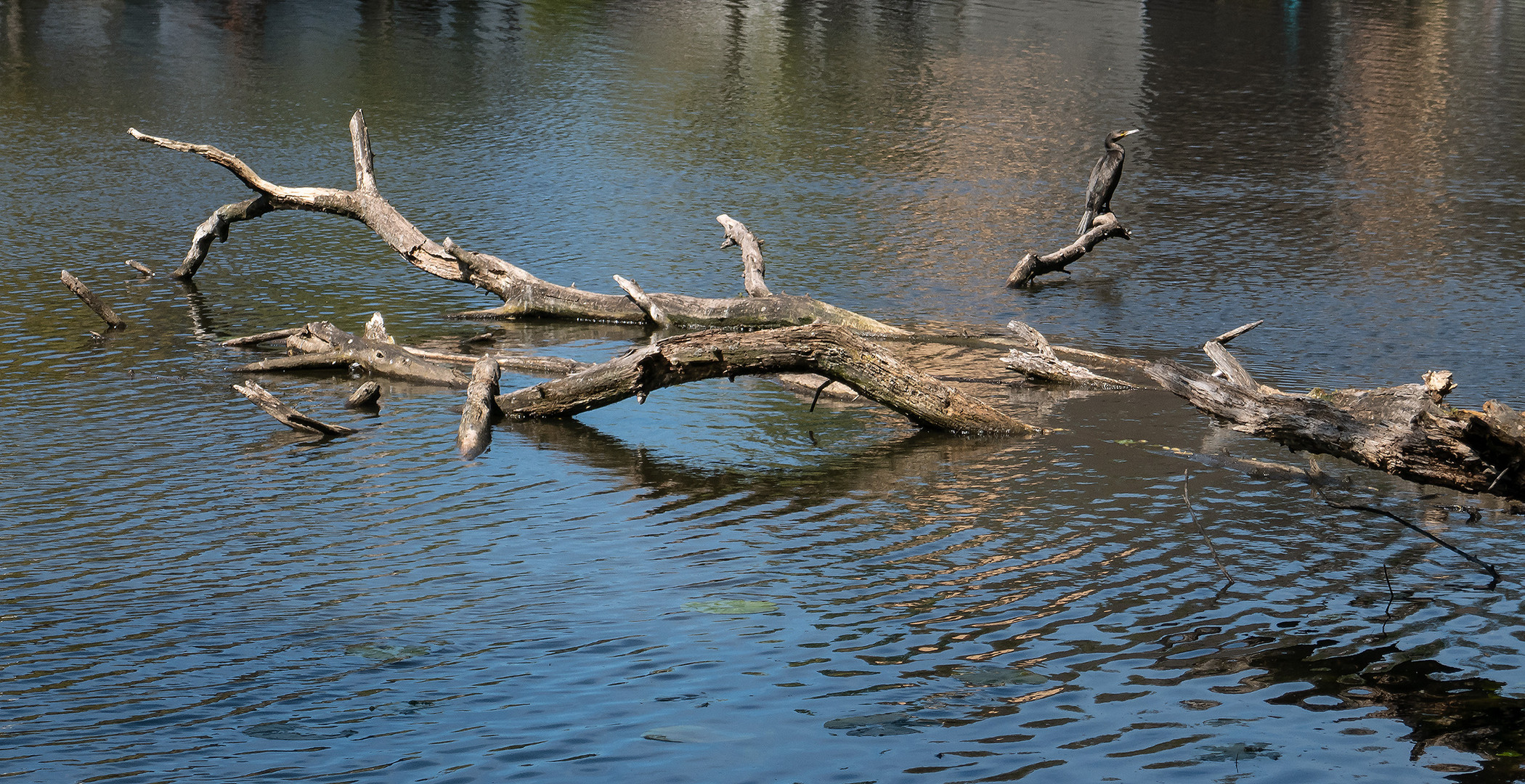 Naturstadt Hamburg