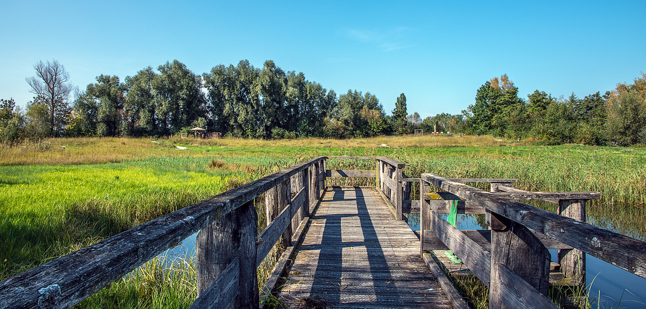 Naturstation Silberweide