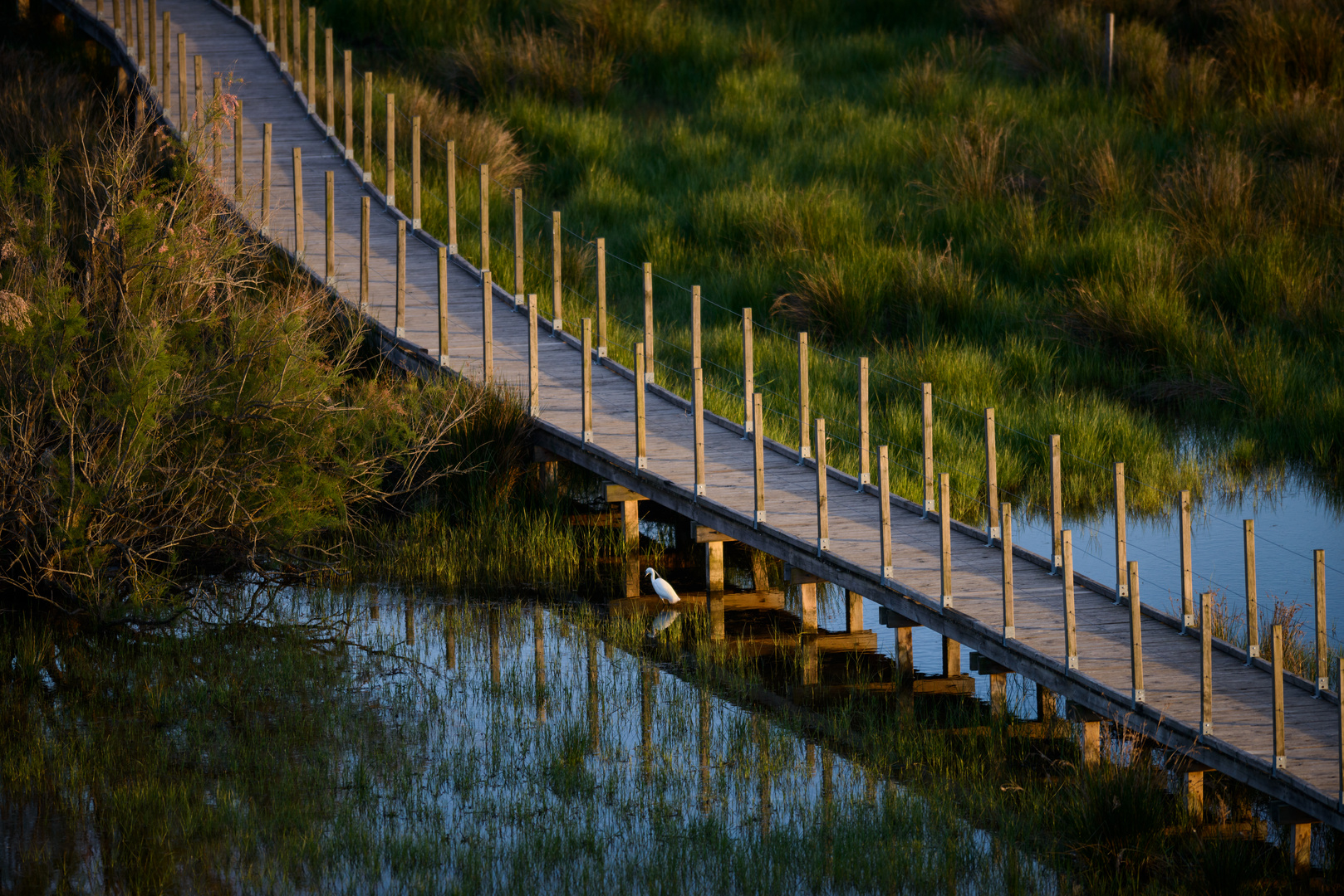 Natursteg