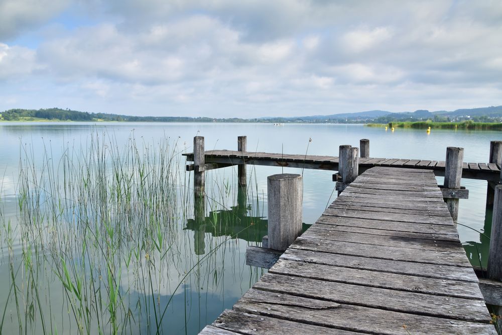 Natursteg am Pfäffikersee