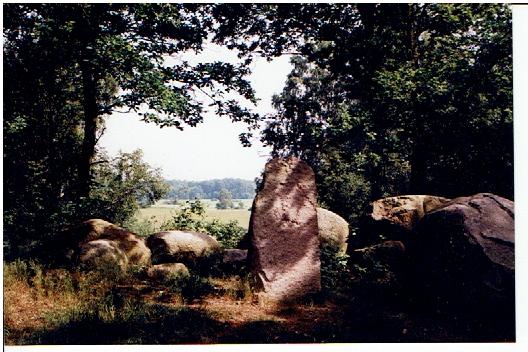 Natur,Steinschlagweg in Feldberg