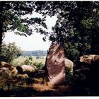 Natur,Steinschlagweg in Feldberg