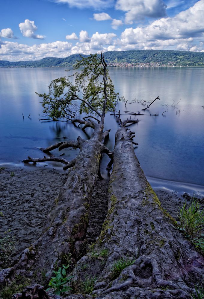 Naturstrand am Bodensee