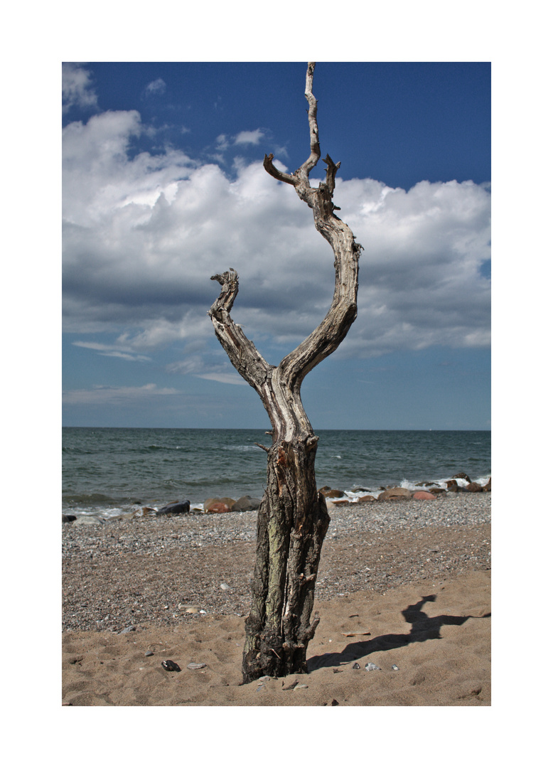 Naturstrand auf Hiddensee