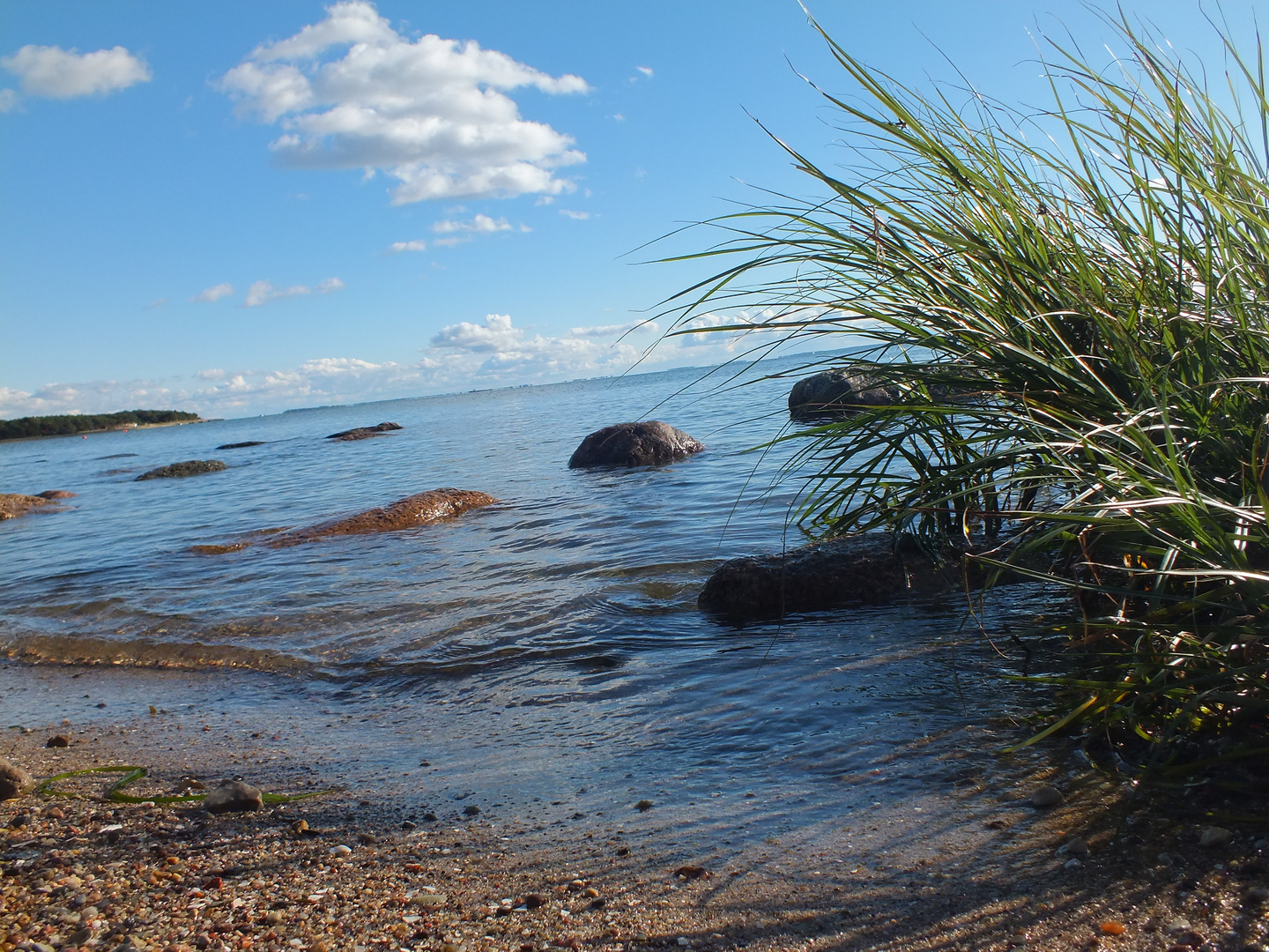 Naturstrand auf Rügen