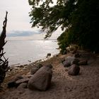 Naturstrand bei Lauterbach (Rügen)