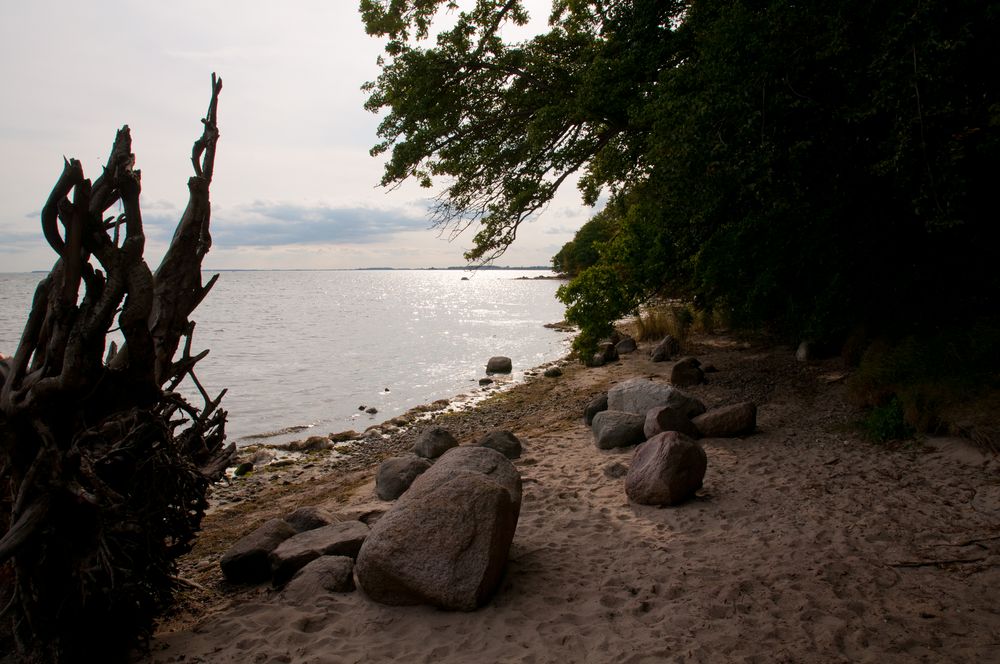 Naturstrand bei Lauterbach (Rügen)