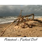 Naturstrand - Darsser Weststrand