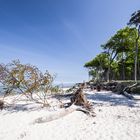 Naturstrand im Frühling