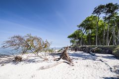 Naturstrand im Frühling