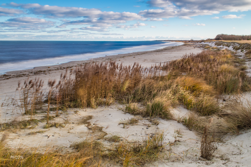 Naturstrand Zingst