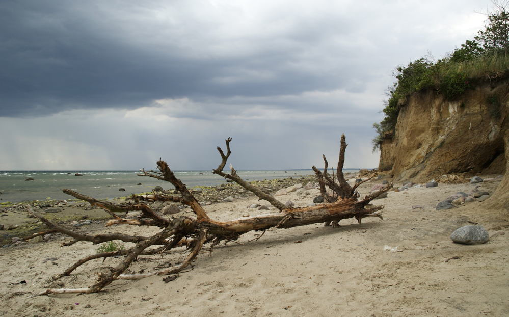 Naturstrand/Insel Poel