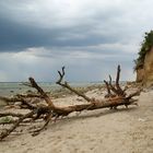 Naturstrand/Insel Poel