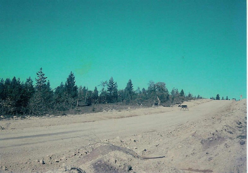Naturstraße im Lappland (1970)