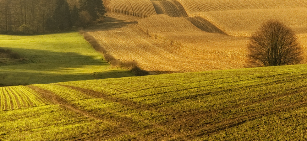 °Naturstruckturen°