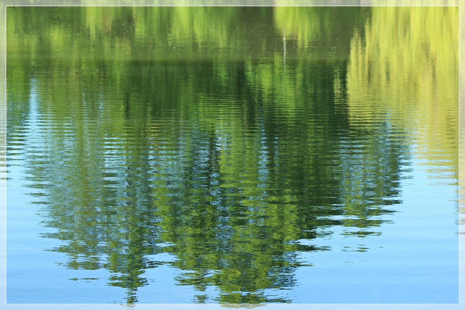 Naturstrukturen im Wasser