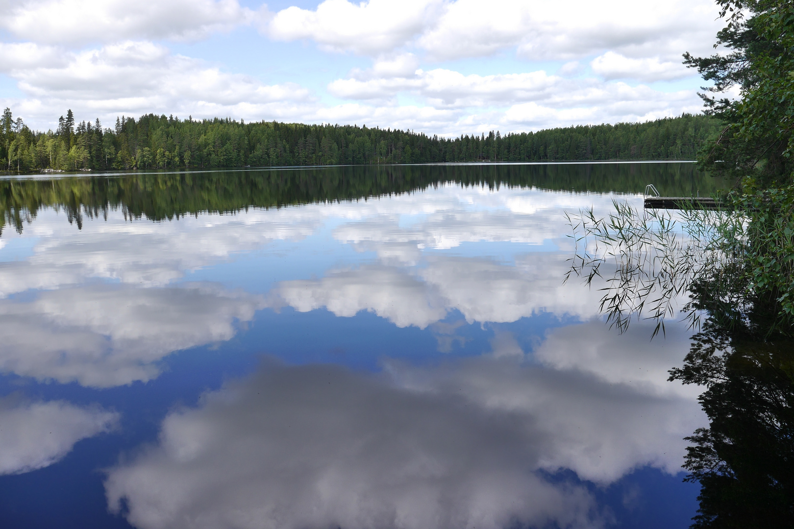 Naturswimmingpool