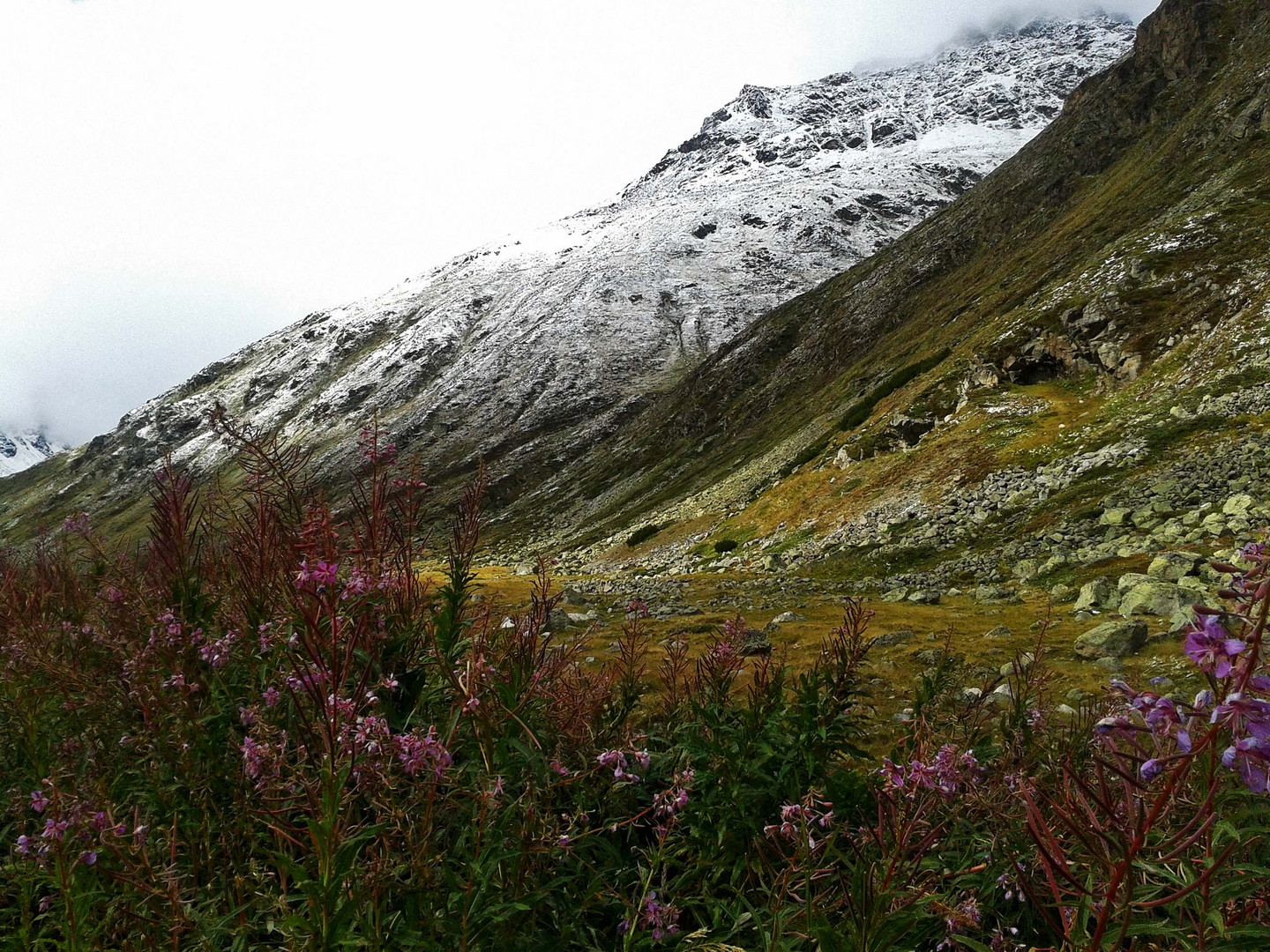 Naturszene im Schweizer Alpen...