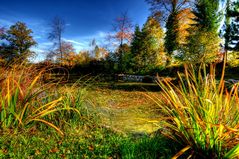 Naturteich auf dem Brütten