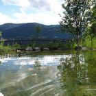 Naturteich bei Kiens Südtirol