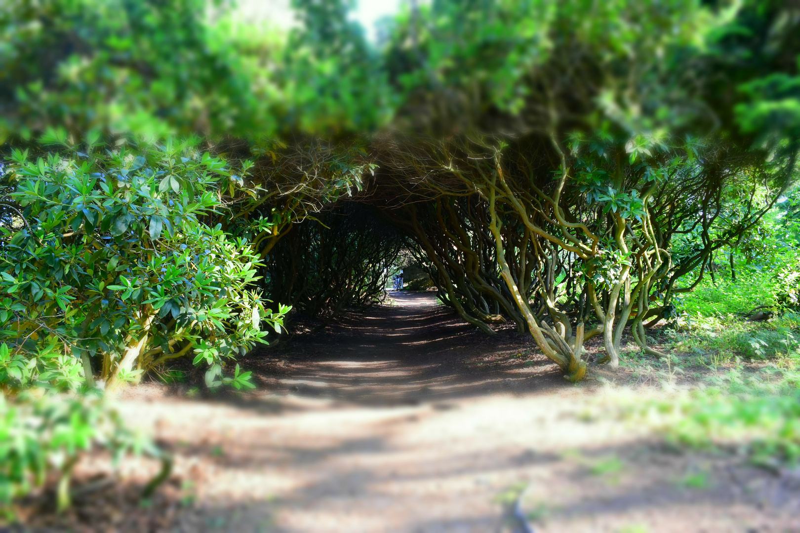 Naturtunnel