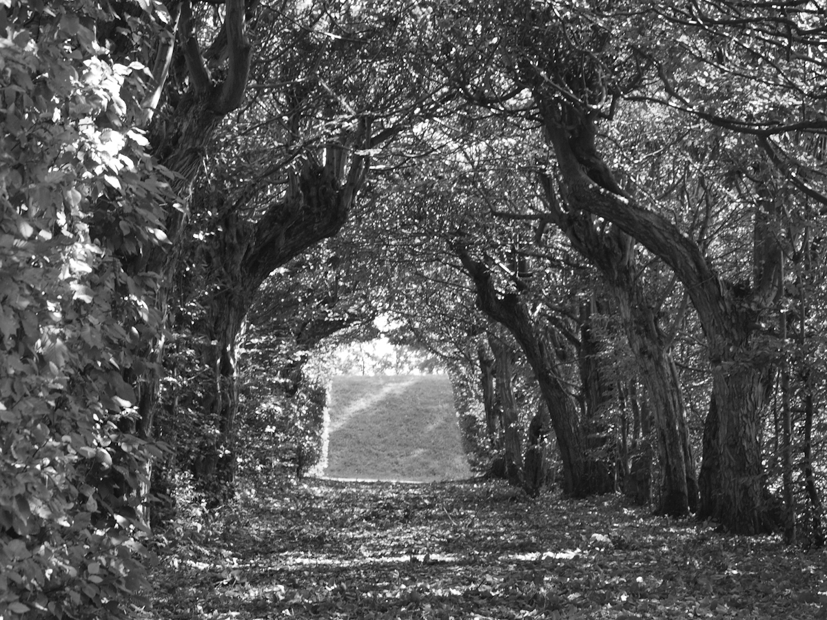 Naturtunnel