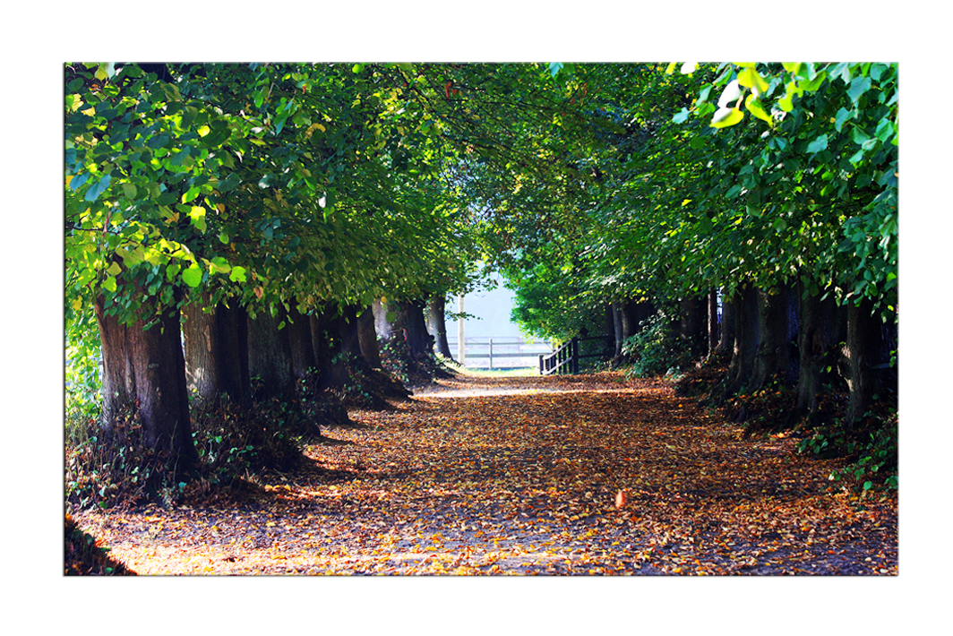 Naturtunnel